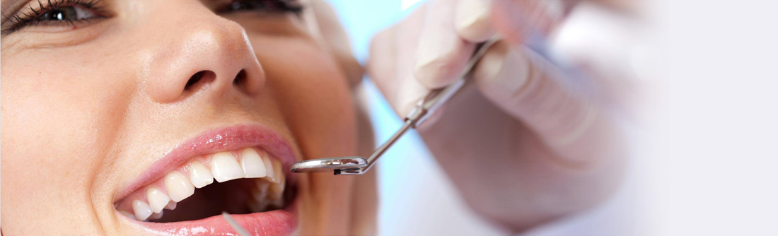 conexiones dientes lectura dental